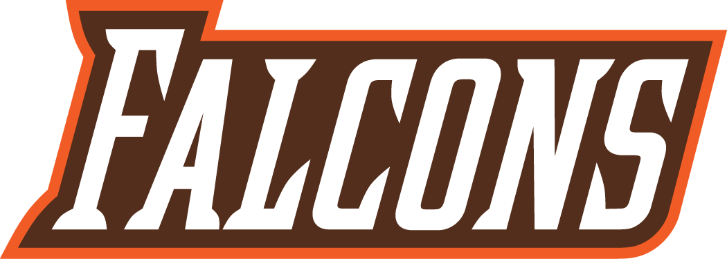 Bowling Green Falcons 2006-Pres Wordmark Logo v2 DIY iron on transfer (heat transfer)